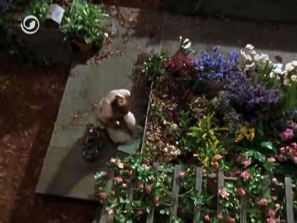 Outer Limits Die unbekannte Dimension Staffel 7 Folge 12 HD Deutsch