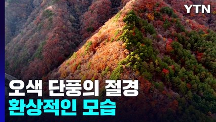 카메라에 담긴 오색 단풍의 절경...한 폭의 풍경화처럼 / YTN
