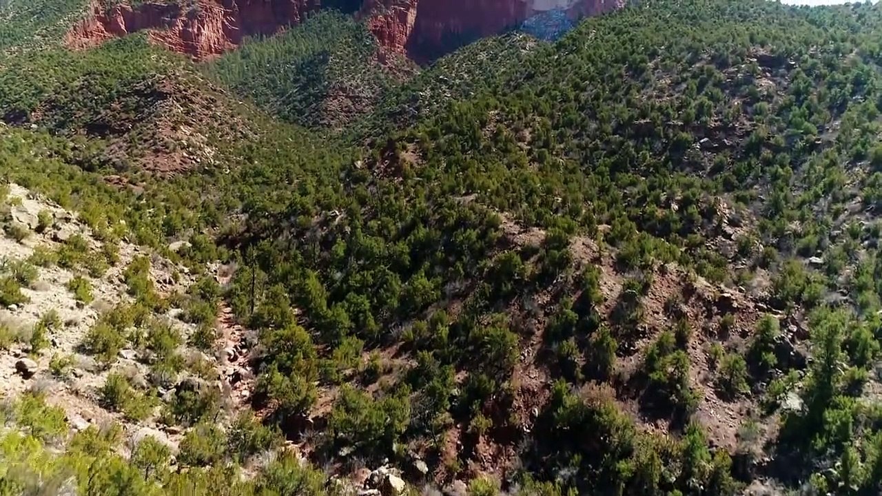 Wenn Tiere angreifen Staffel 2 Folge 12 HD Deutsch