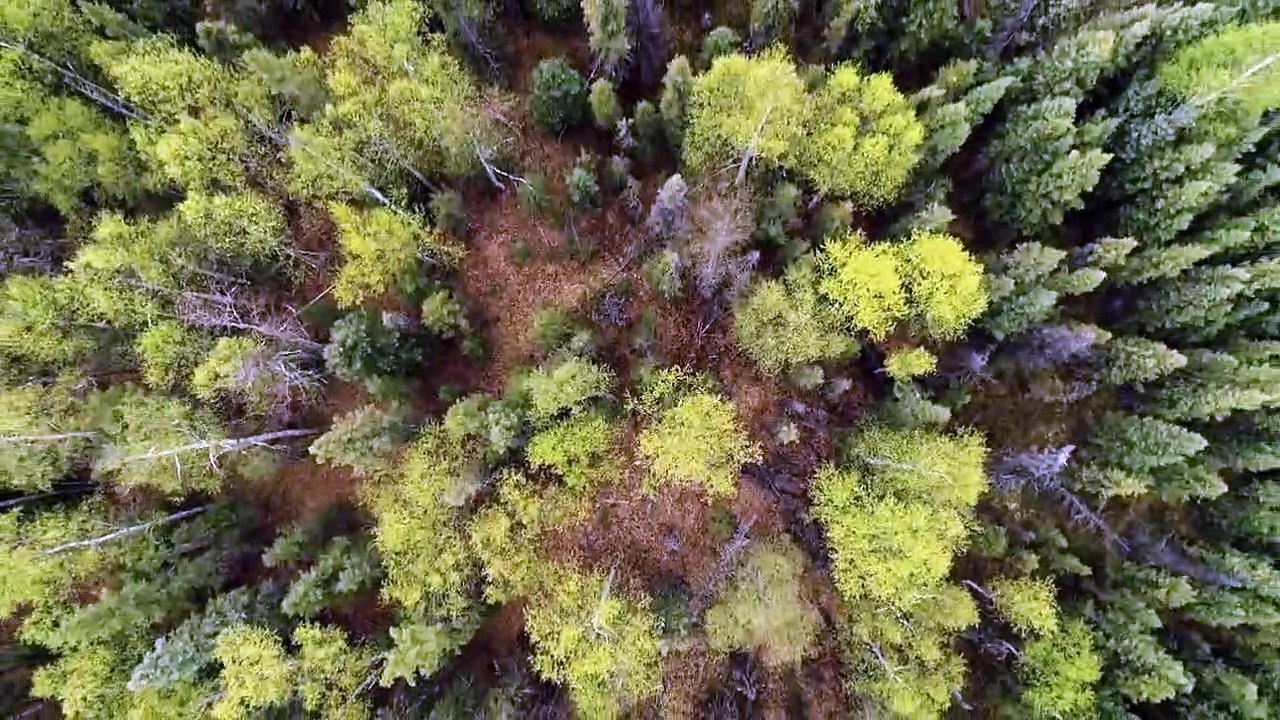 Wenn Tiere angreifen Staffel 2 Folge 6 HD Deutsch