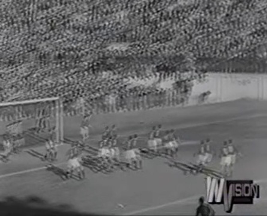 Solo il fato li vinse : il Grande Torino