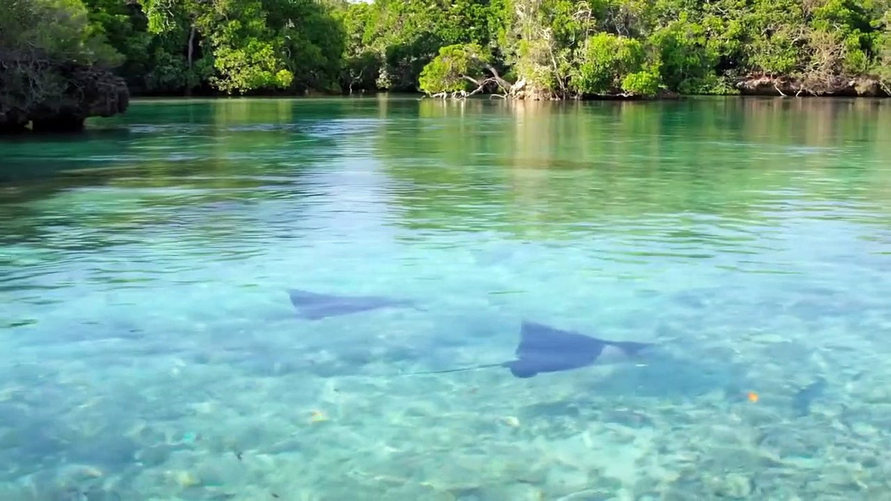 A Perfect Planet - Se1 - Ep01 - Volcano HD Watch HD Deutsch