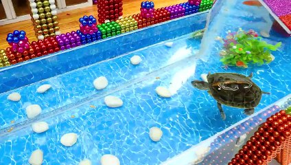 #Build #Villa Has Swimming Pool & Water Slide