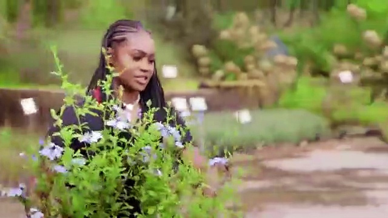 Leave it to Stevie - Se2 - Ep02 - Lawn $$ Order HD Watch HD Deutsch