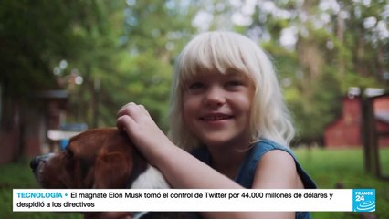 Economía, tema clave en la campaña de cara a las elecciones de medio término en EE. UU.