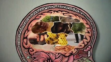 The Mind Of A Chef- Se3 - Ep09 HD Watch HD Deutsch