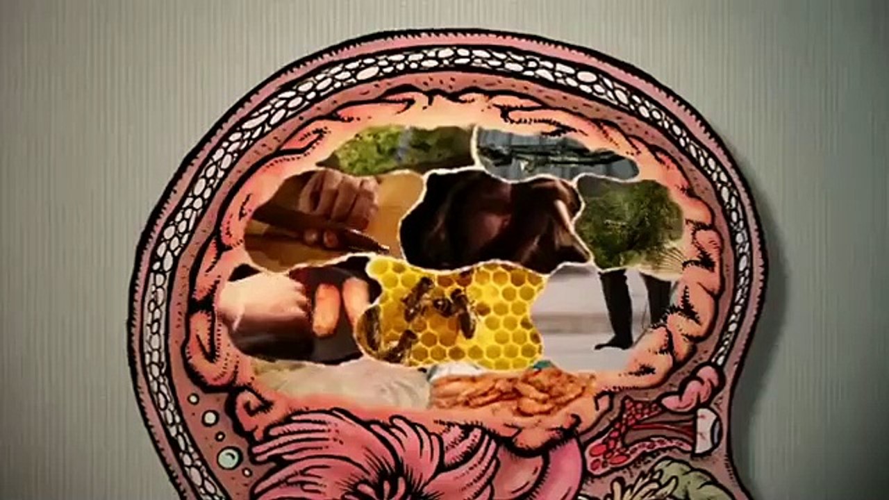 The Mind Of A Chef- Se3 - Ep10 HD Watch HD Deutsch