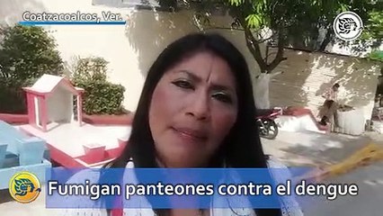 Fumigan panteones contra el dengue
