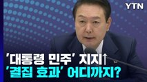 尹 대통령·민주당 지지 동반↑...사정정국 '결집 효과' 어디까지? / YTN