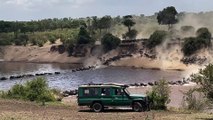 Crocodile Gets Baby Wildebeest During River Crossing