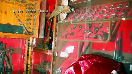 Mur-'der Board - Se1 - Ep04 - Scorned in Sin City HD Watch HD Deutsch