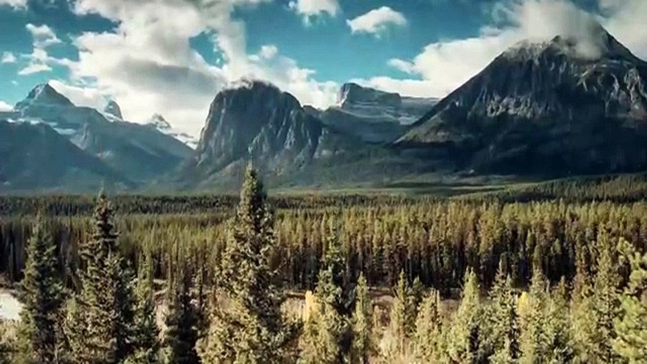 Mur-'der Board - Se1 - Ep07 - Dead End Alley HD Watch HD Deutsch