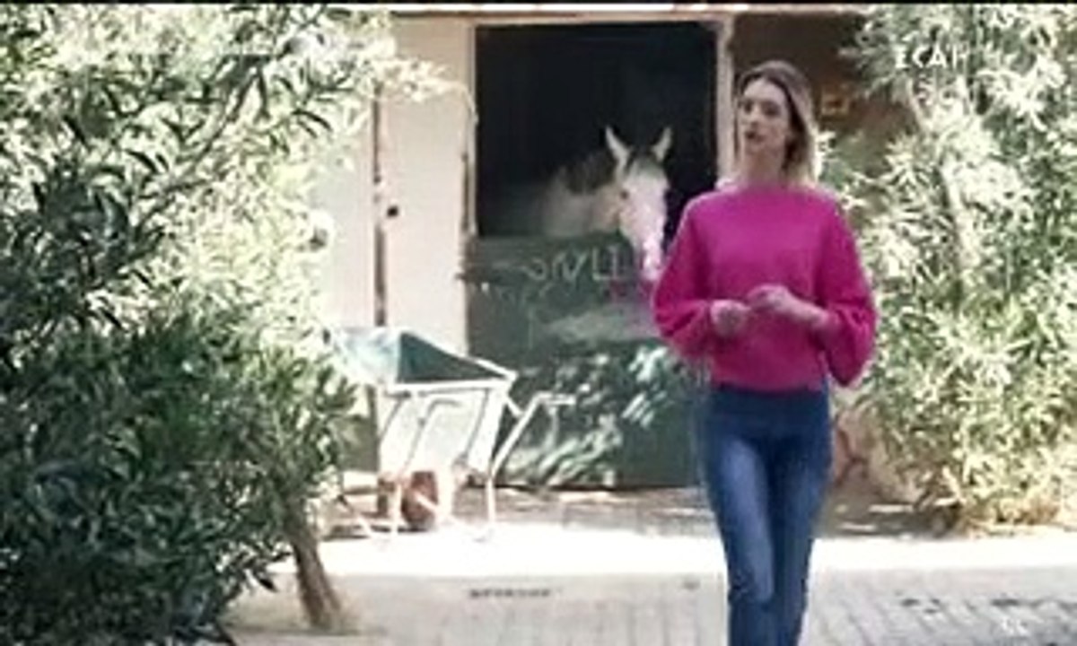 Άγρια Γη - Επεισόδιο 30