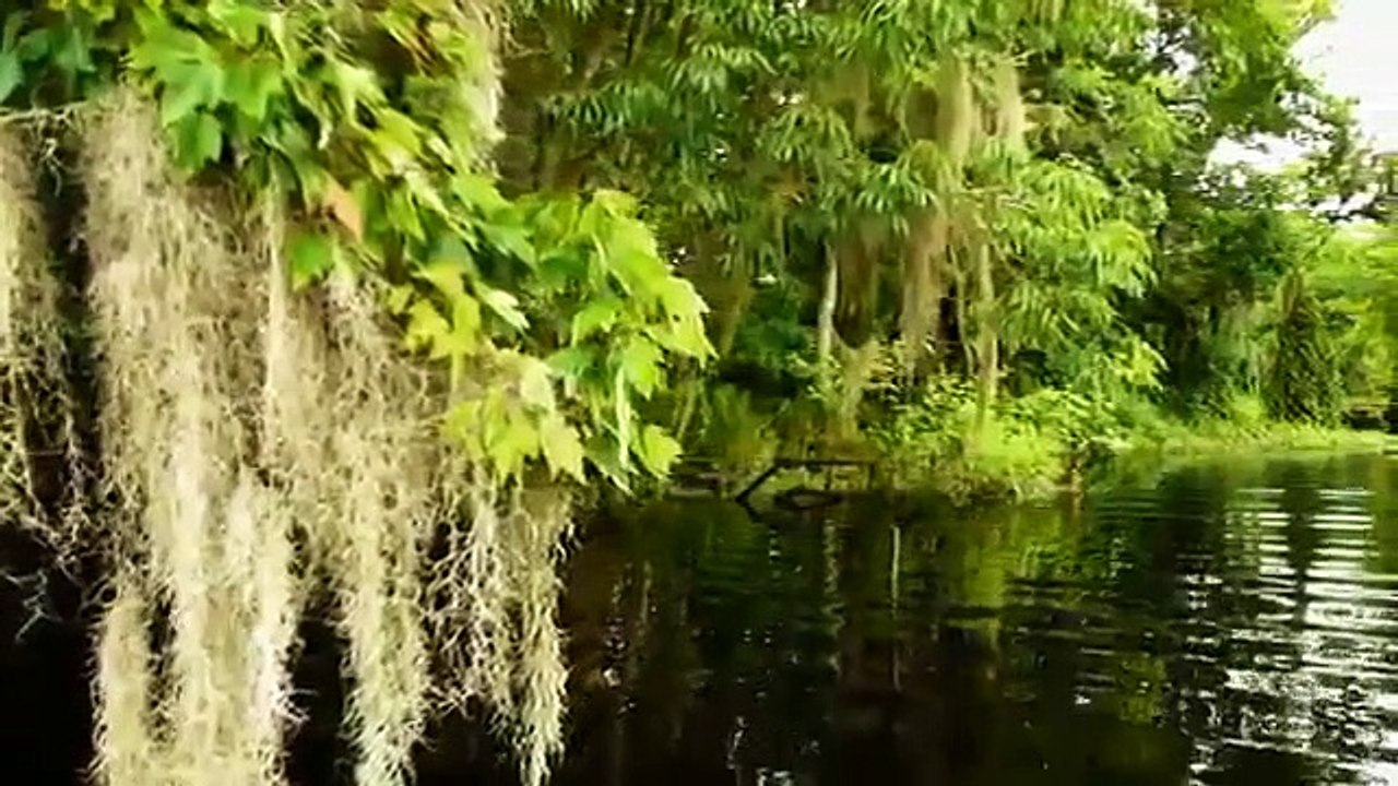 I Was Prey - Se1 - Ep02 - Wicked Bite HD Watch HD Deutsch