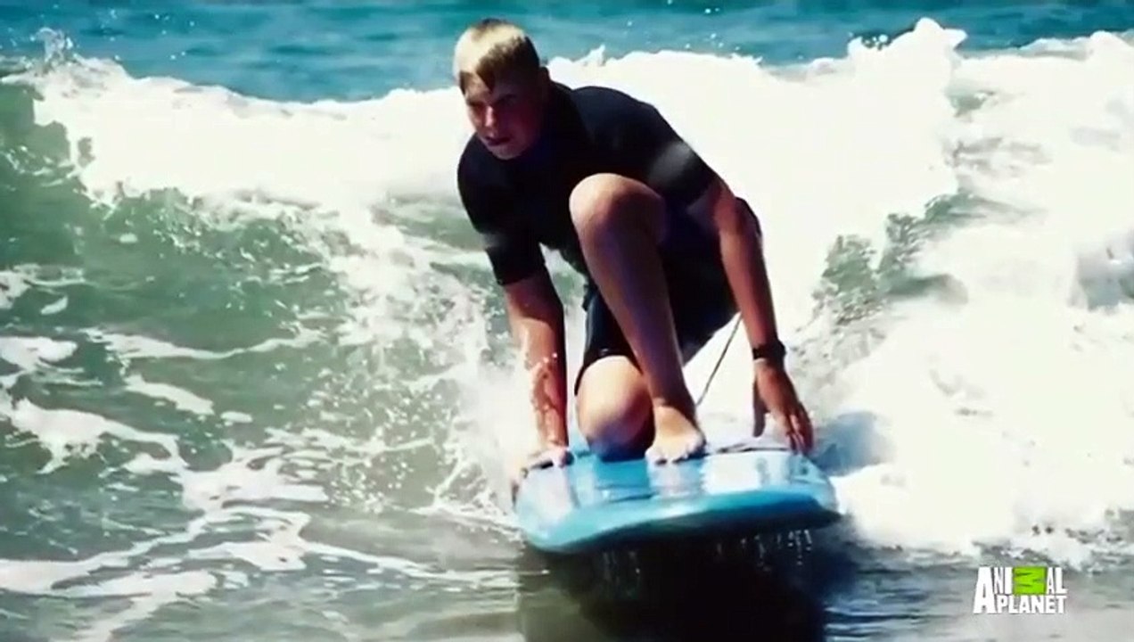 I Was Prey - Se1 - Ep01 - Feeding Frenzy HD Watch HD Deutsch