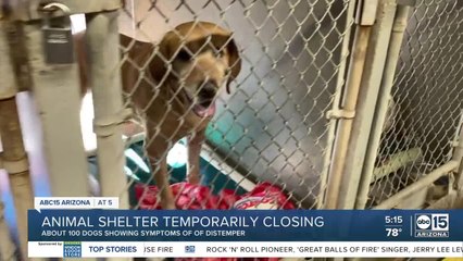 MCACC shelter closing temporarily over distemper outbreak