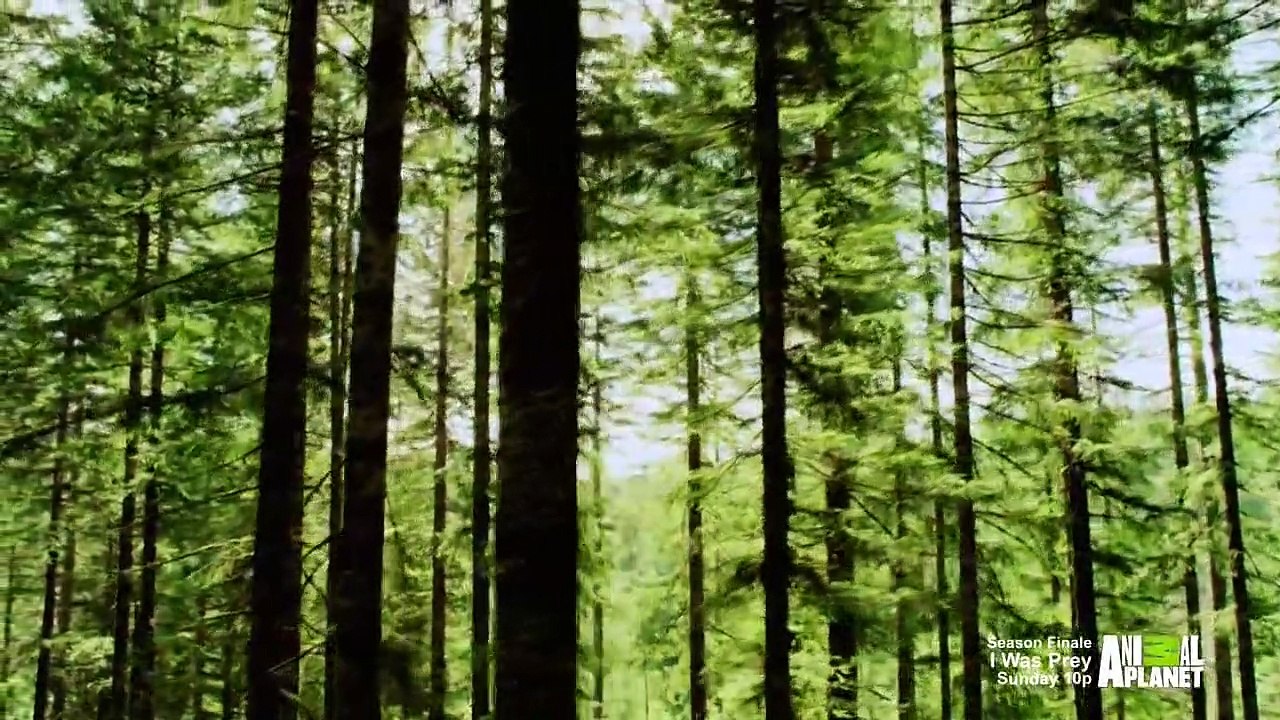 I Was Prey - Se1 - Ep05 - Invisible Assassin HD Watch HD Deutsch