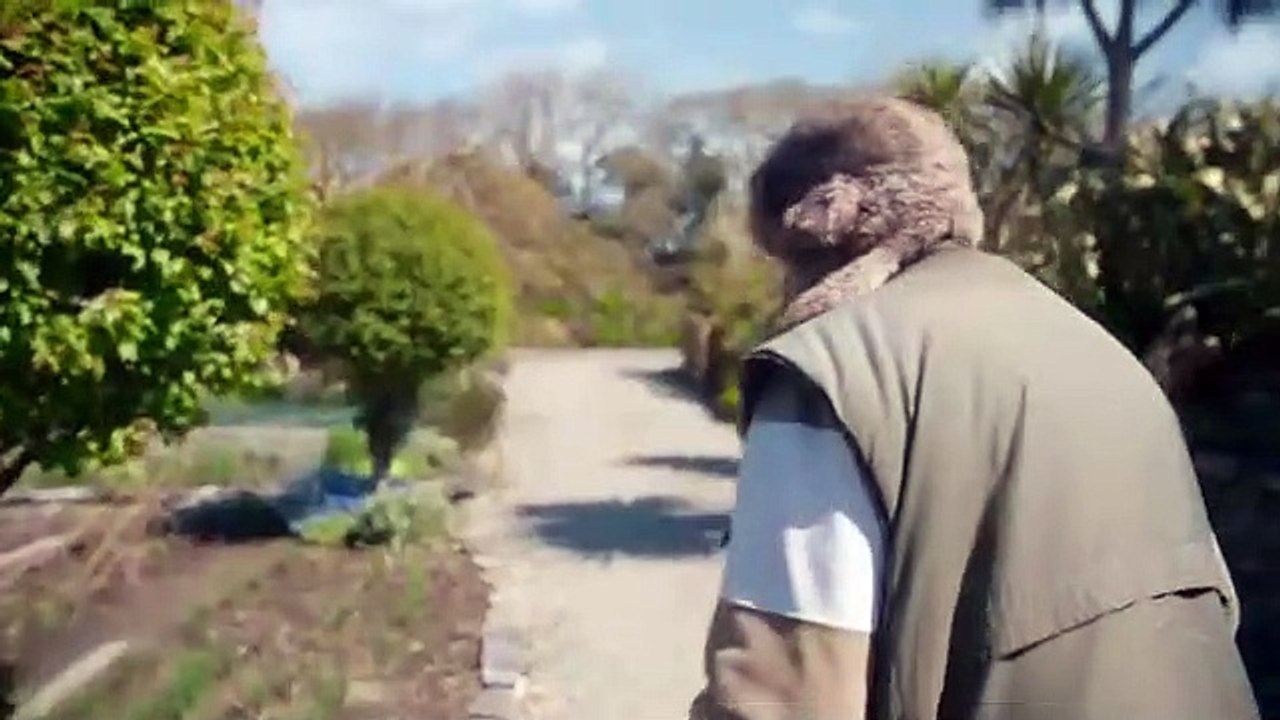 Sophie - A Mur-'der in West Cork - Se1 - Ep02 HD Watch HD Deutsch