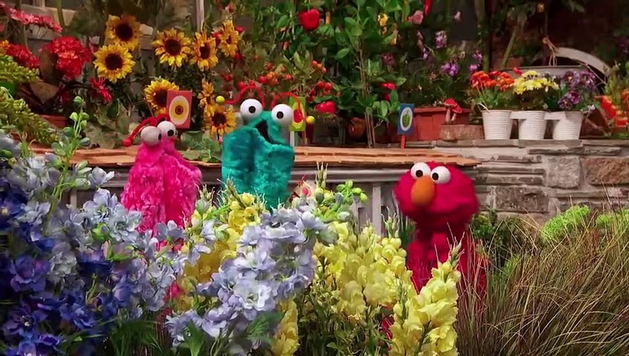 Sesame Street - Se48 - Ep05 HD Watch HD Deutsch