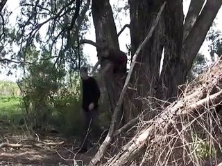 La dernière tempête Bande-annonce (IT)