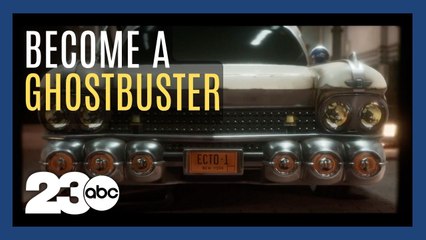 Who you gonna call?
