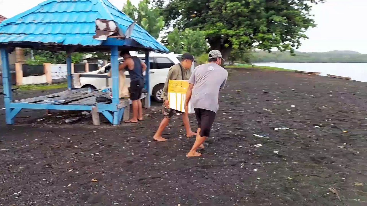 Restocking Karang Hias Hasil Transplantasi di TWA SATONDA