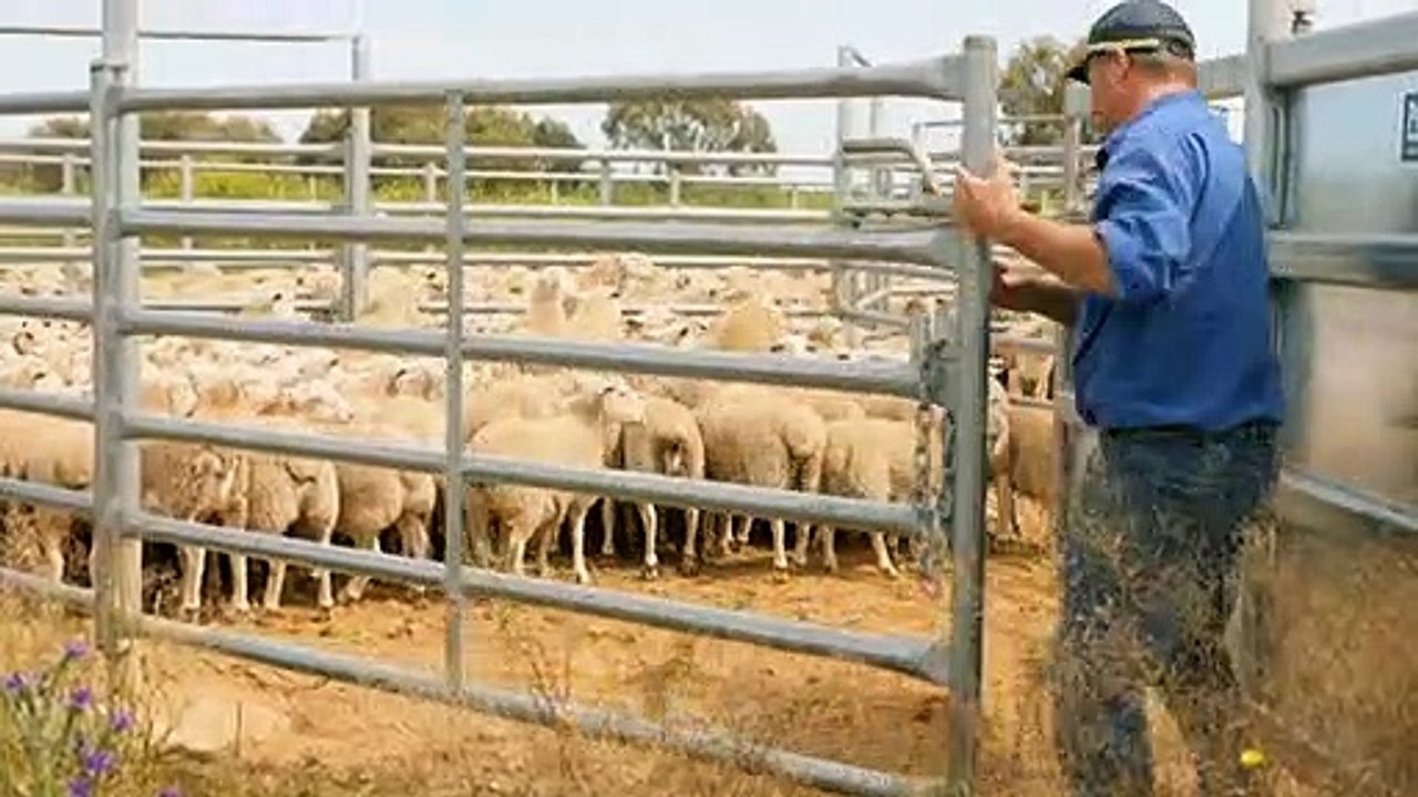 Paddocks and crops inundated as farmers battle rain
