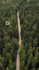 Difficult roads often lead to beautiful destinations.