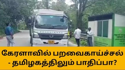 கேரளாவில் பறவை காய்ச்சல் - தமிழகத்திலும் பாதிப்பா?