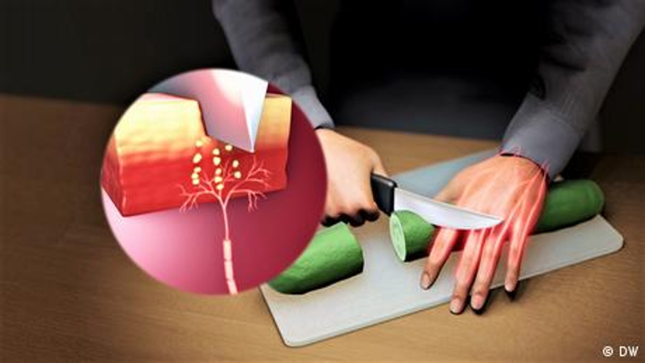 Das passiert bei Schmerzen im Körper