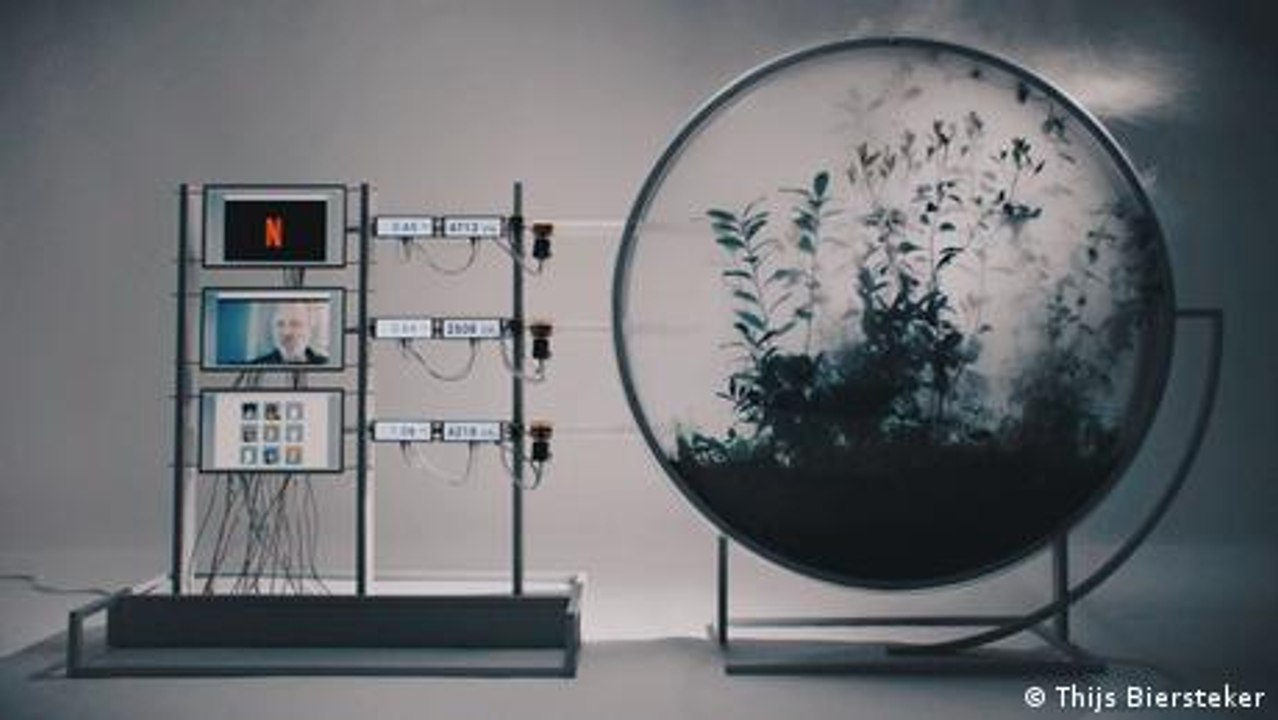 Mit Kunst gegen den Klimawandel