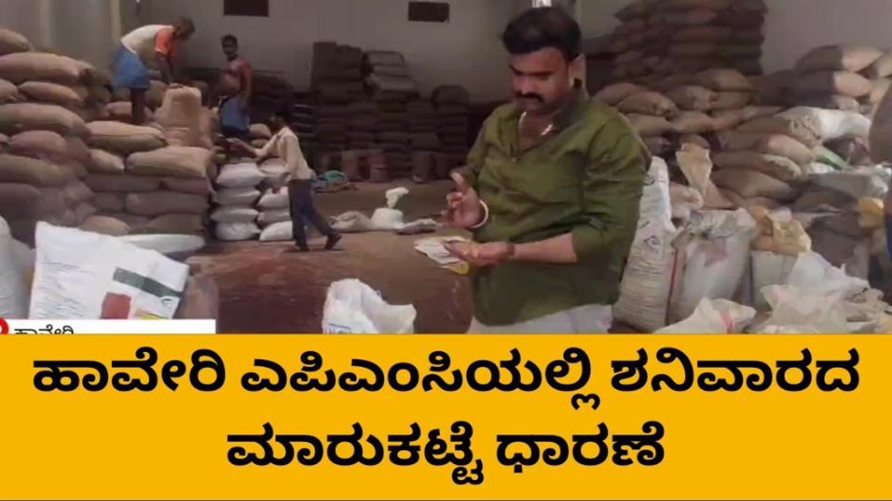 ಹಾವೇರಿ: ಎಪಿಎಂಸಿಯಲ್ಲಿ ಶನಿವಾರದ ಮಾರುಕಟ್ಟೆ ಧಾರಣೆ