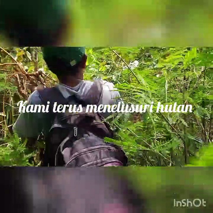Adventure / berpetualangan ke alam liar cari bahan bonsai