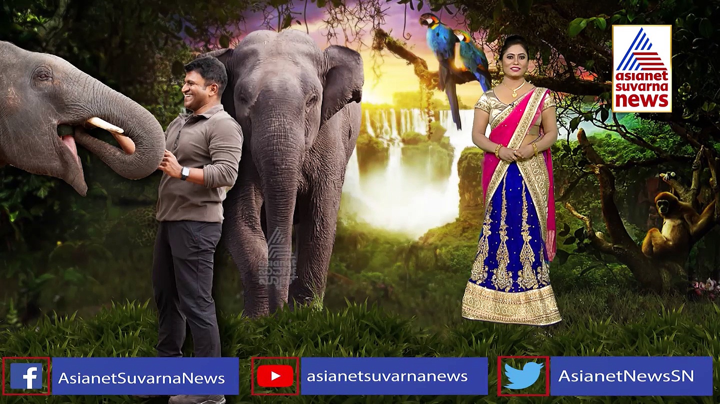 Gandhada Gudi:ಗಂಧದ ಗುಡಿ ನೋಡಿ ಅಪ್ಪು ಫ್ಯಾನ್ಸ್ ಕಣ್ಣೀರು