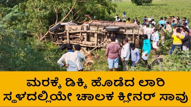 ರಾಯಚೂರು: ಮರಕ್ಕೆ ಡಿಕ್ಕಿ ಹೊಡೆದ ಮಿನಿ ಲಾರಿʼ ಇಬ್ಬರ ದುರ್ಮರಣ