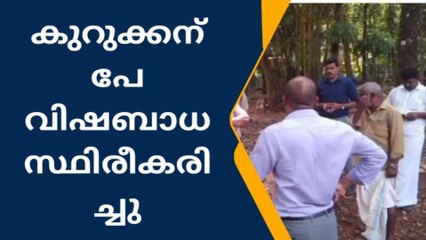 ആറന്മുള: പെരുമ്പാറയിൽ ചത്തനിലയിൽ കാണപ്പെട്ട കുറുക്കന് പേവിഷബാധ സ്ഥിരീകരിച്ചു