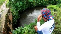 Gagal Fokus Mancing Disini - Kolam LESTI Kebanjiran Pemancing Rebutan Ikan ( Nyendal Maning )