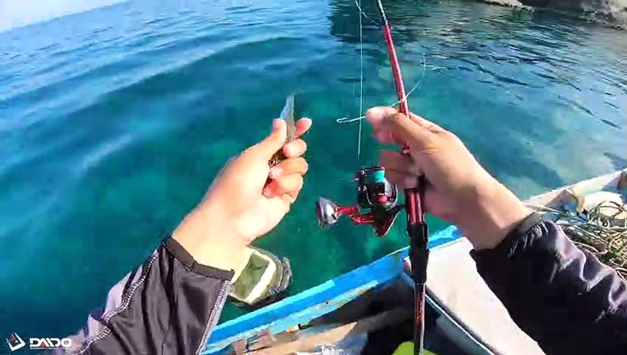 LANGSUNG MENJERIT ..!! LEMPAR UMPAN IKAN HIDUP LANGSUNG DI SAMBAR ( A-ndy )