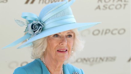 VOICI - Grosse frayeur pour Camilla Parker Bowles : son avion percuté en plein vol, les photos impressionnantes