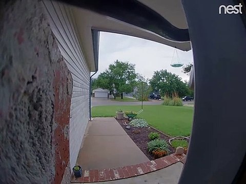 Snake n'arrête pas de déclencher l'alarme de la caméra de la sonnette - Buzz Buddy