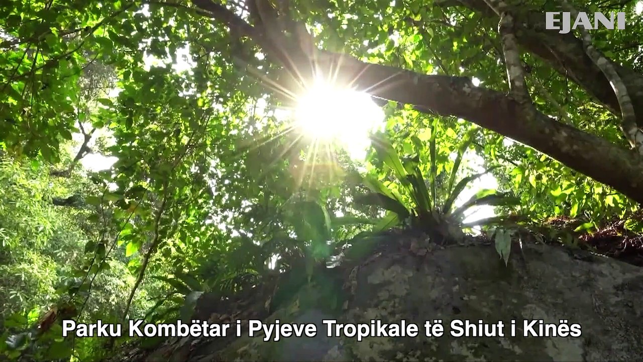 Porti i tregtisë së lirë- Kapitulli i ri i turizmit në provincën Hainan