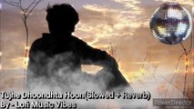 Tujhe Dhoondhta Hoon - (Slowed  Unplugged Reverb) | Unplugged song | Bollywood Cover Songs | Lofi