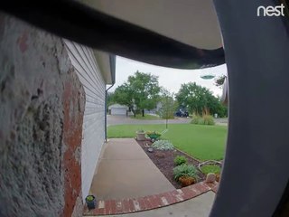 Snake n'arrête pas de déclencher l'alarme de la caméra de la sonnette - Buzz Buddy