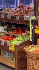 Un oiseau obtient de la laitue gratuite au marché en Roumanie - Buzz Buddy