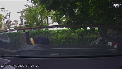 Tête bonked derrière bmw - Buzz Buddy