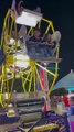 Brother Loves the Mini Ferris Wheel but Daughter Has Different Thoughts