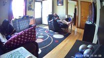 Plummeting Pooch Falls From The Couch
