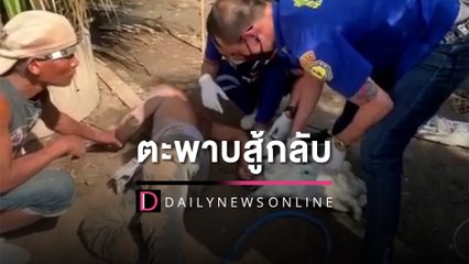 หนุ่มหิ้ว ‘ตะพาบนํ้า’ เตรียมเปิบเมนูเด็ด เจอตะพาบสู้กลับงับนิ้วไม่ยอมปล่อย |HOTSHOTเดลินิวส์29/10/65