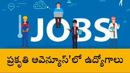 విజయనగరం: ప్రకృతి అవెన్యూస్ లో ఉద్యోగాలు