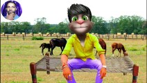 Billu funny 2024 video